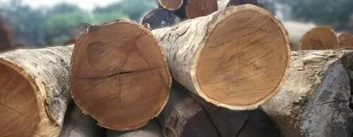 Hardwood logs showing reddish-brown end grain