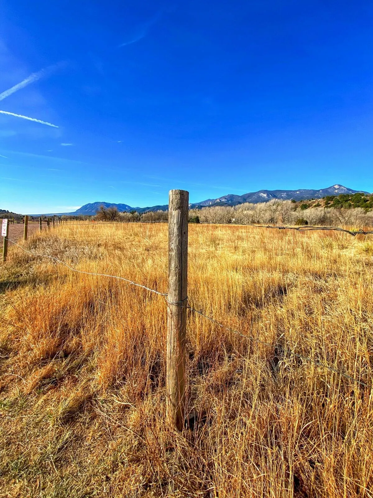 Timber fence post with line wire in a dry grass paddock
